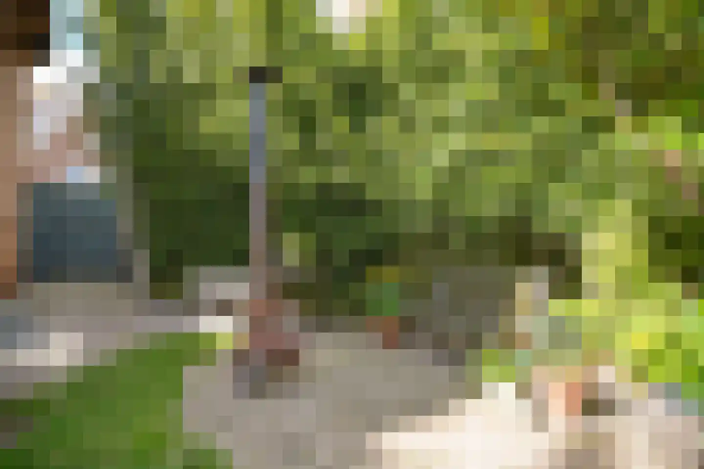 Hogestraat 35 Heerewaarden thumbnail 56