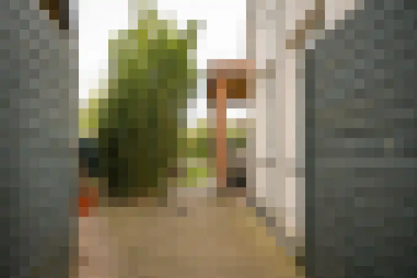 Hogestraat 35 Heerewaarden thumbnail 60