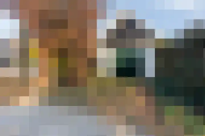 Hogestraat 40 Aalten thumbnail 35