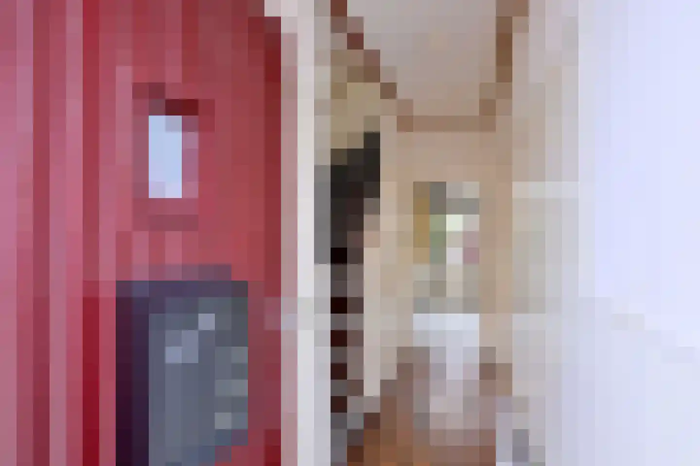 Hogestraat 47 Deventer thumbnail 5
