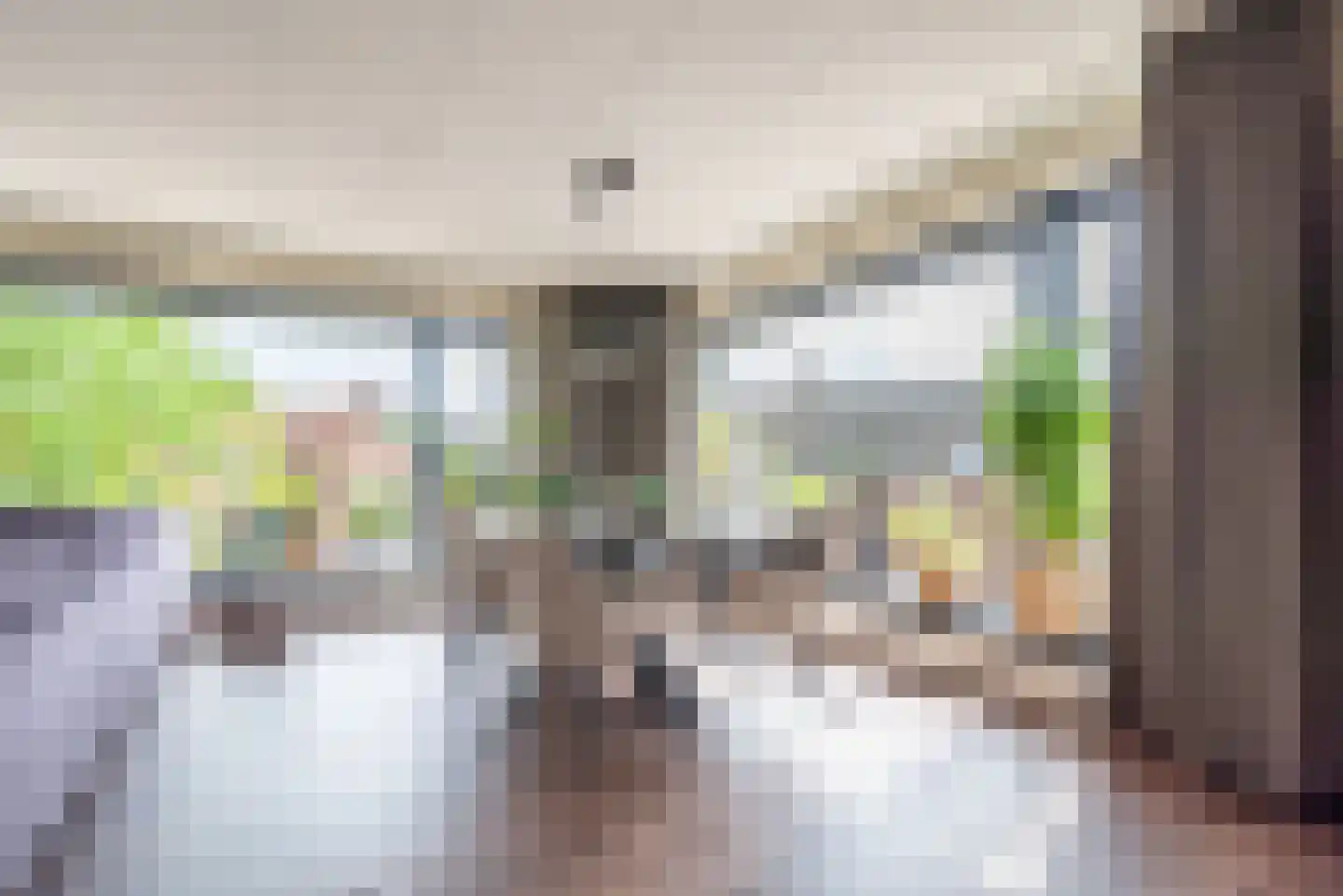 Hogestraat 48 A Dinxperlo thumbnail 11