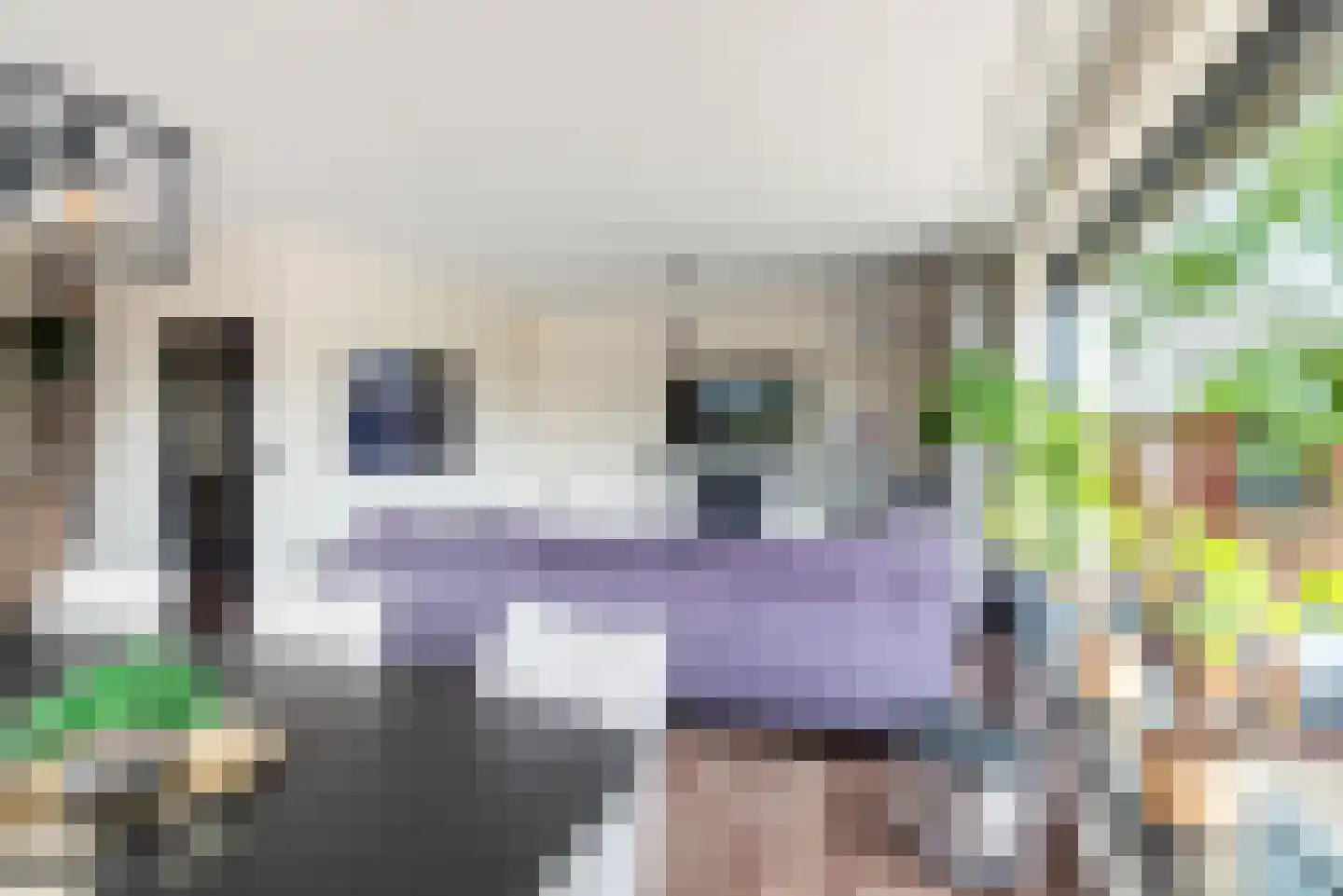 Hogestraat 48 A Dinxperlo thumbnail 13