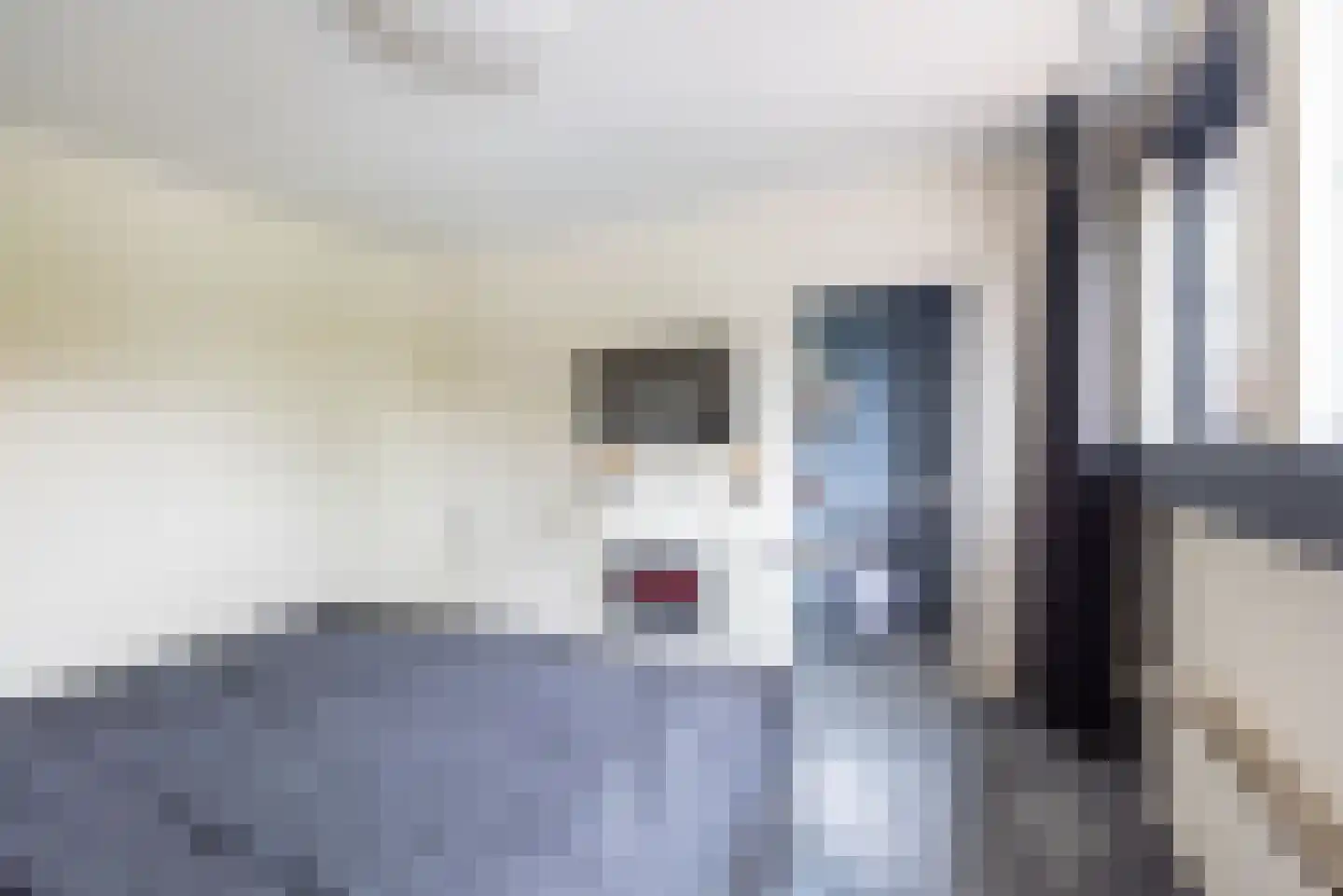 Hogestraat 48 A Dinxperlo thumbnail 21