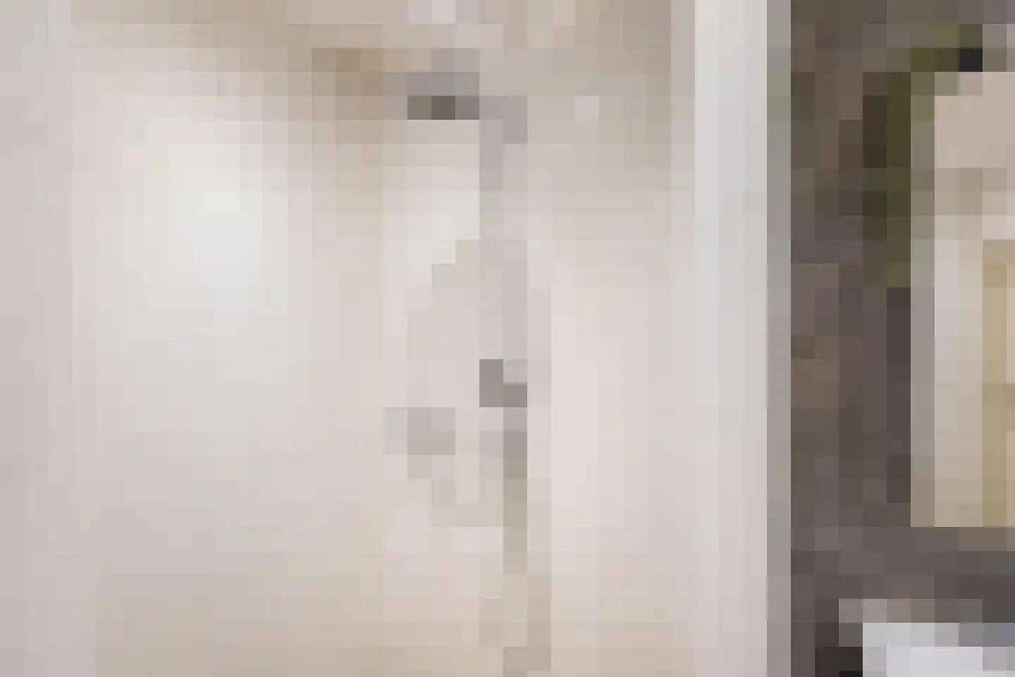 Hogestraat 48 A Dinxperlo thumbnail 29