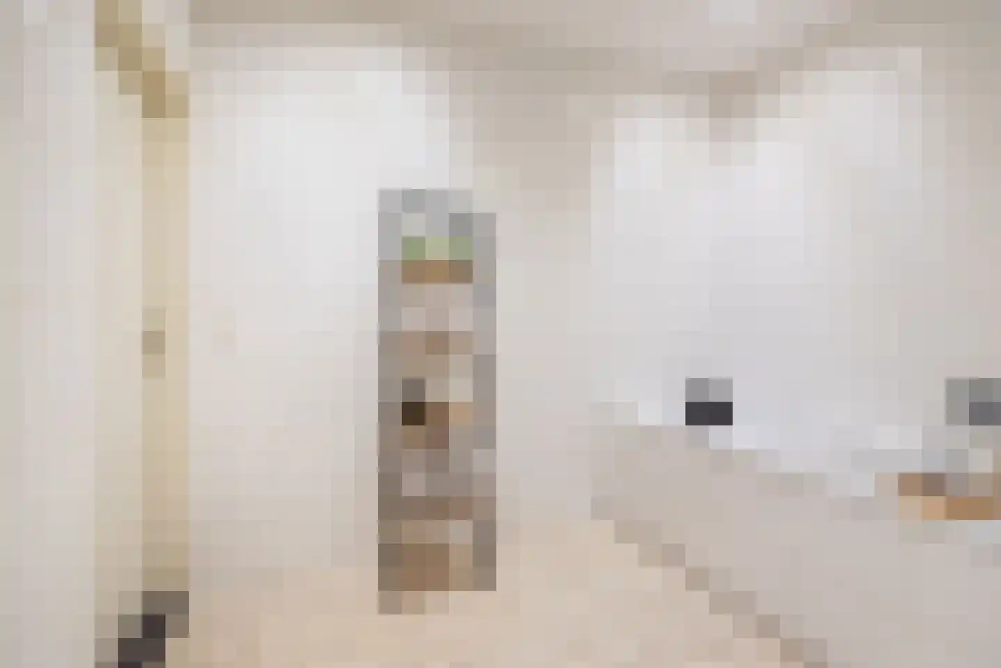 Hogestraat 48 A Dinxperlo thumbnail 30