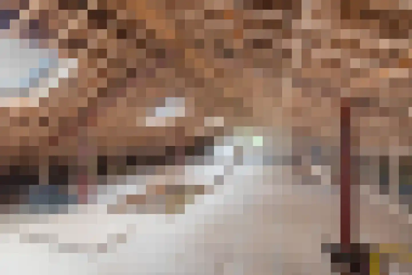 Hogestraat 48 A Dinxperlo thumbnail 32