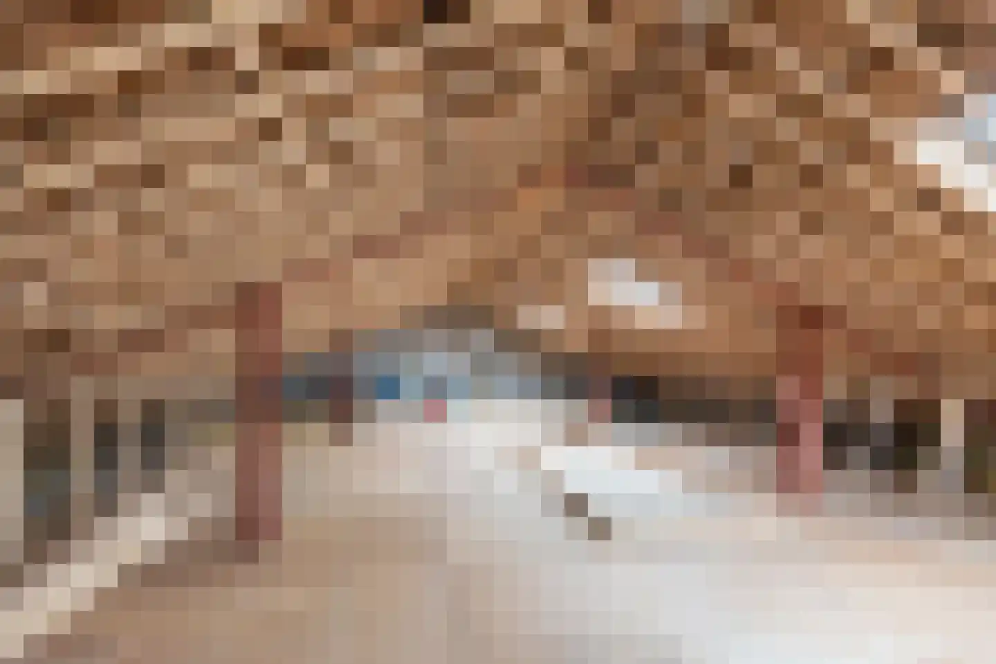 Hogestraat 48 A Dinxperlo thumbnail 33