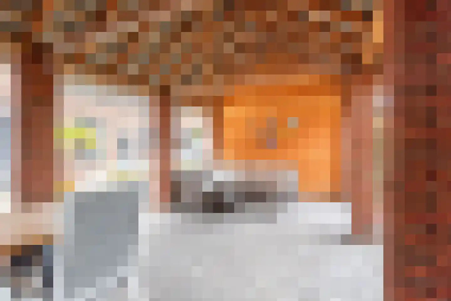 Hogestraat 48 A Dinxperlo thumbnail 36