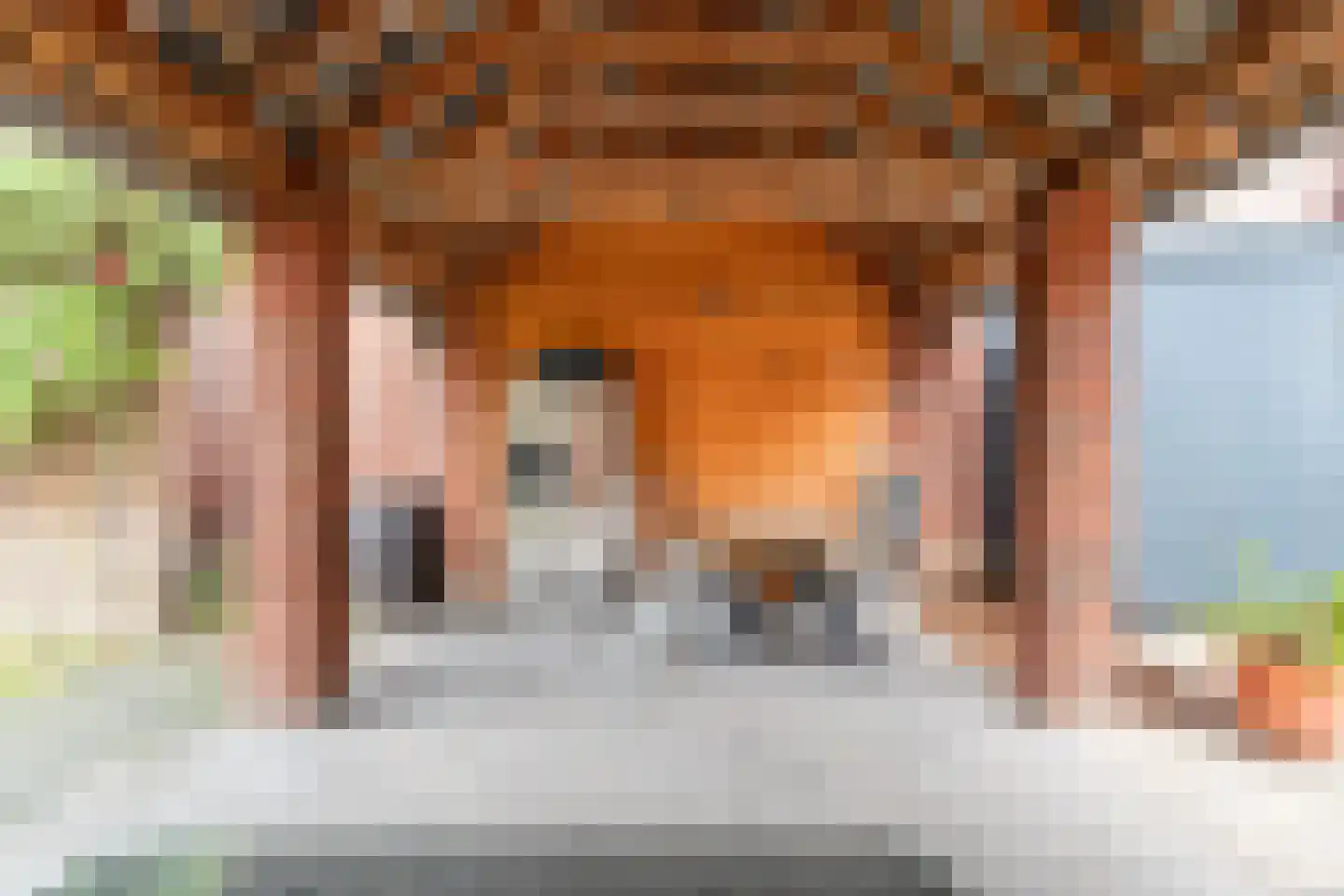 Hogestraat 48 A Dinxperlo thumbnail 37