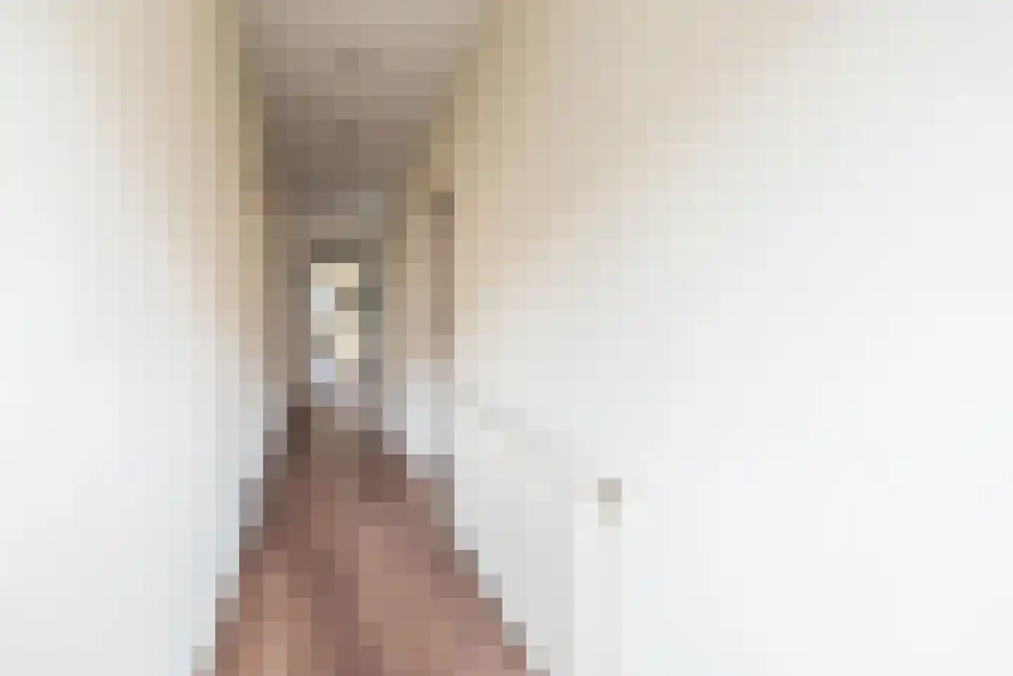 Hogestraat 48 A Dinxperlo thumbnail 9