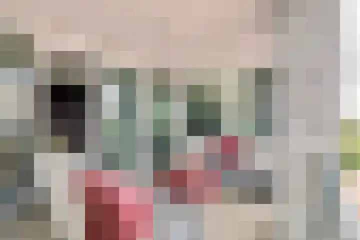 Hogestraat 50 A Druten thumbnail 12