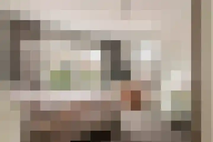Hogestraat 50 A Druten thumbnail 16