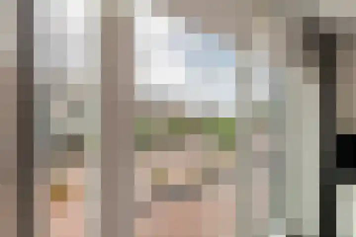 Hogestraat 50 A Druten thumbnail 17