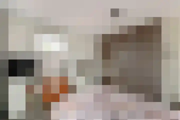 Hogestraat 50 A Druten thumbnail 18