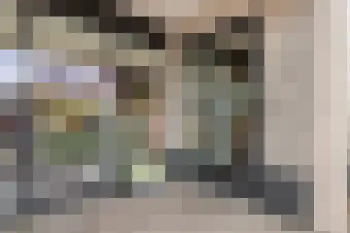 Hogestraat 50 A Druten thumbnail 28