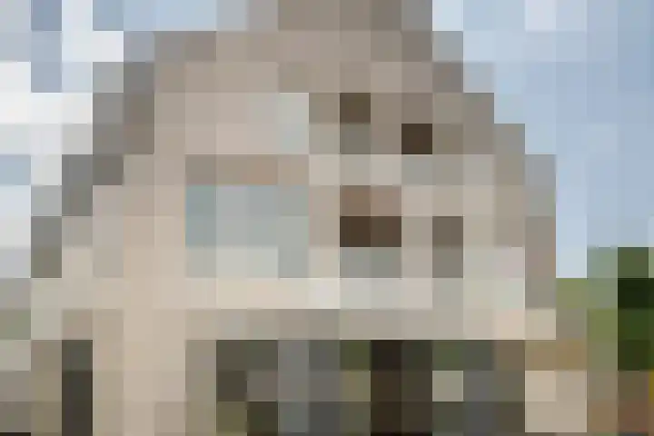 Hogestraat 50 A Druten thumbnail 29