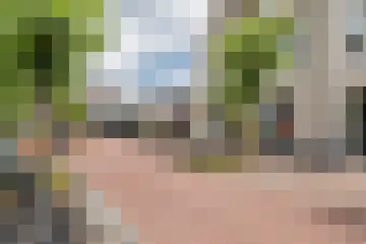 Hogestraat 50 A Druten thumbnail 30