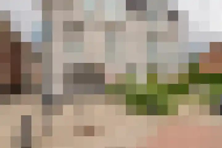 Hogestraat 50 A Druten thumbnail 31