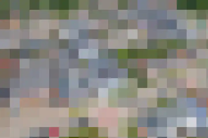 Hogestraat 50 A Druten thumbnail 32