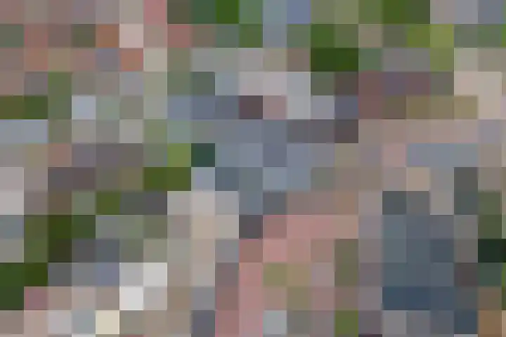Hogestraat 50 A Druten thumbnail 33