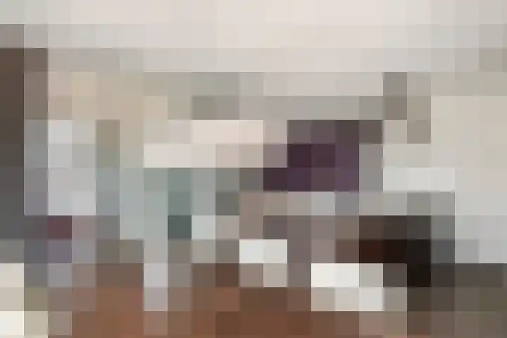 Hogestraat 50 A Druten thumbnail 4