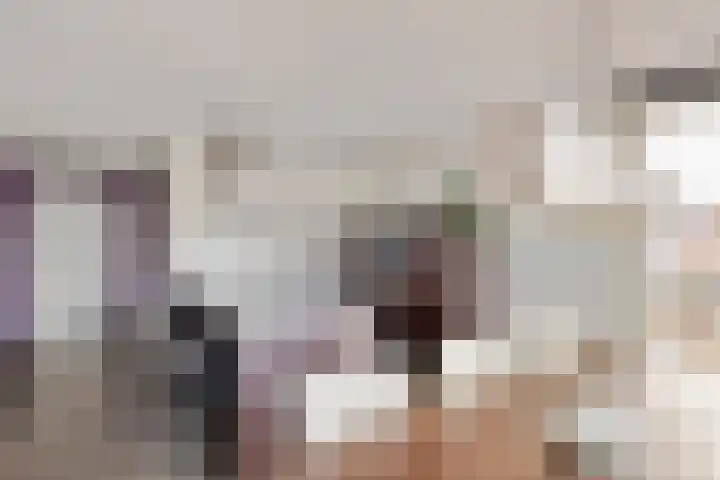 Hogestraat 50 A Druten thumbnail 7