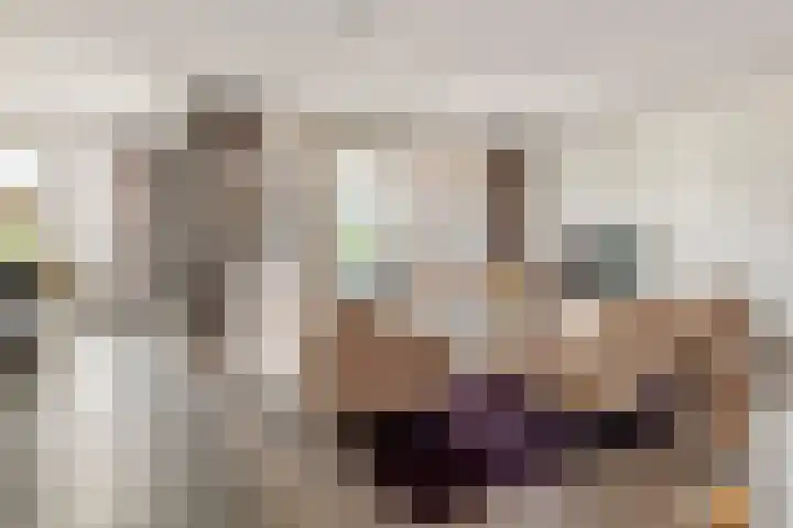 Hogestraat 50 A Druten thumbnail 9