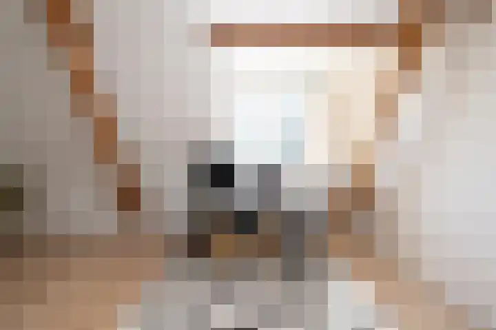 Hogestraat 54 Dieren thumbnail 26