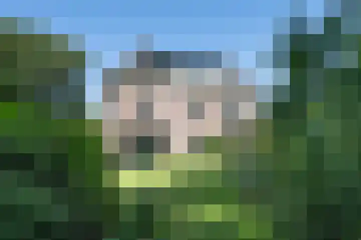 Hogestraat 54 Dieren thumbnail 30