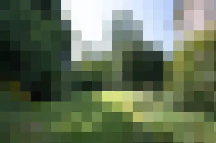 Hogestraat 54 Dieren thumbnail 31