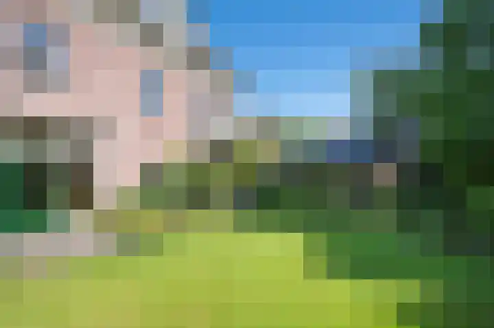Hogestraat 54 Dieren thumbnail 32