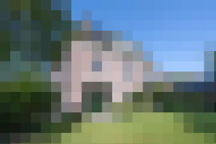 Hogestraat 54 Dieren thumbnail 33