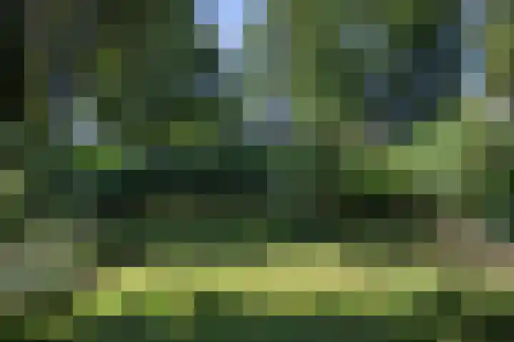 Hogestraat 54 Dieren thumbnail 34