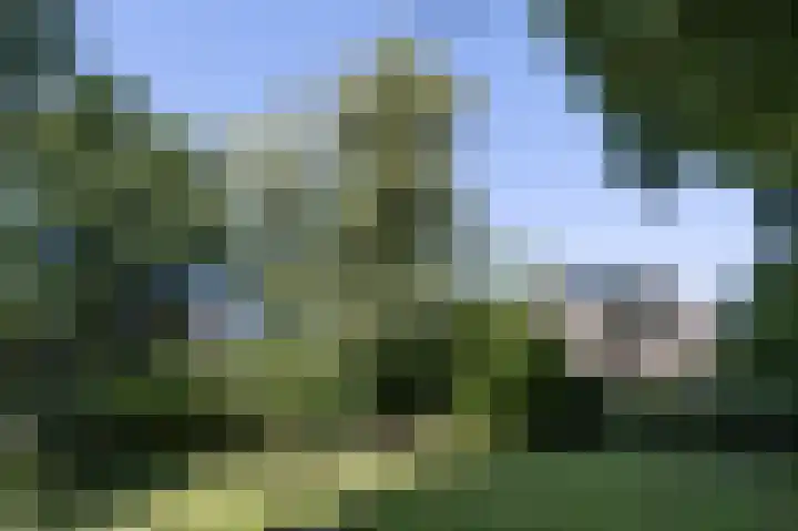 Hogestraat 54 Dieren thumbnail 35