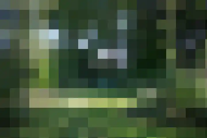 Hogestraat 54 Dieren thumbnail 36