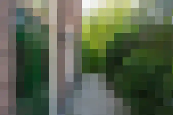 Hogestraat 54 Dieren thumbnail 38