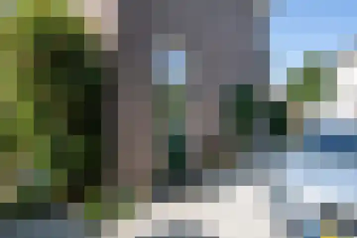 Hogestraat 54 Dieren thumbnail 39
