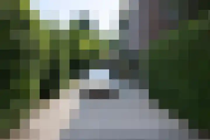 Hogestraat 54 Dieren thumbnail 40