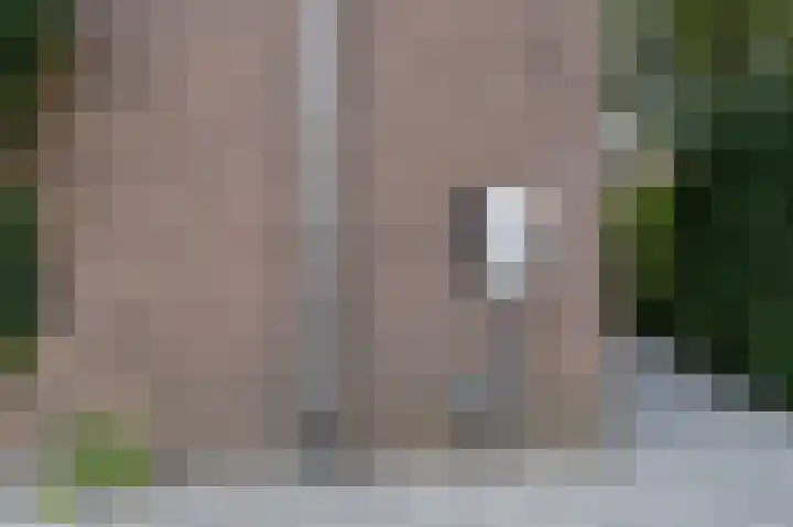 Hogestraat 54 Dieren thumbnail 41