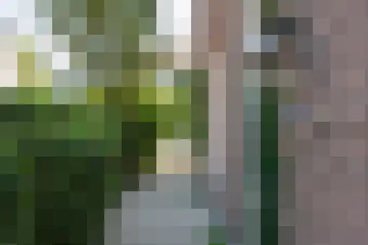 Hogestraat 54 Dieren thumbnail 42