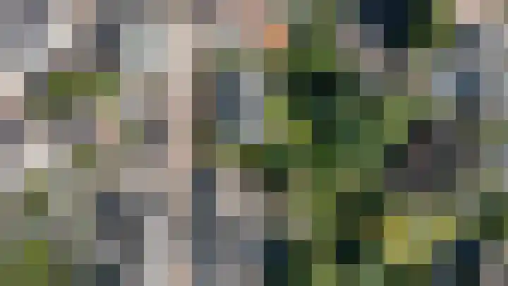 Hogestraat 54 Dieren thumbnail 44
