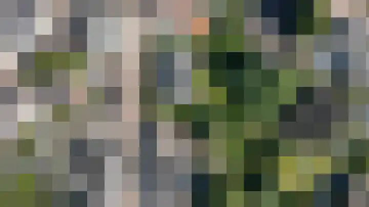 Hogestraat 54 Dieren thumbnail 45