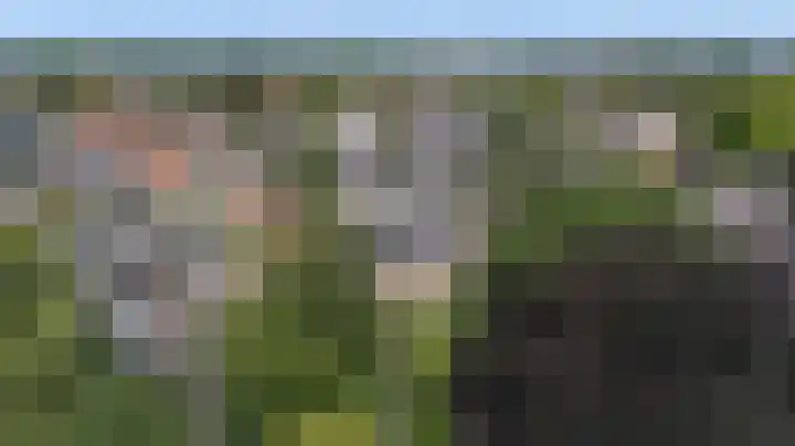 Hogestraat 54 Dieren thumbnail 46