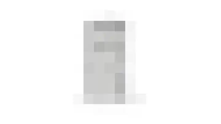 Hogestraat 54 Dieren thumbnail 52