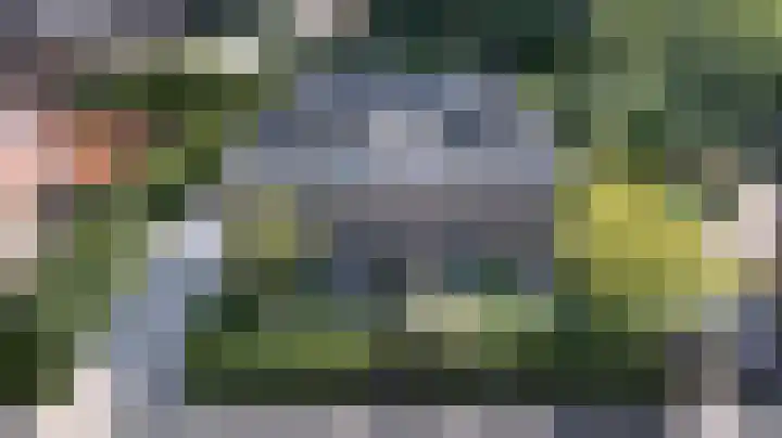 Hogestraat 54 Dieren thumbnail 53
