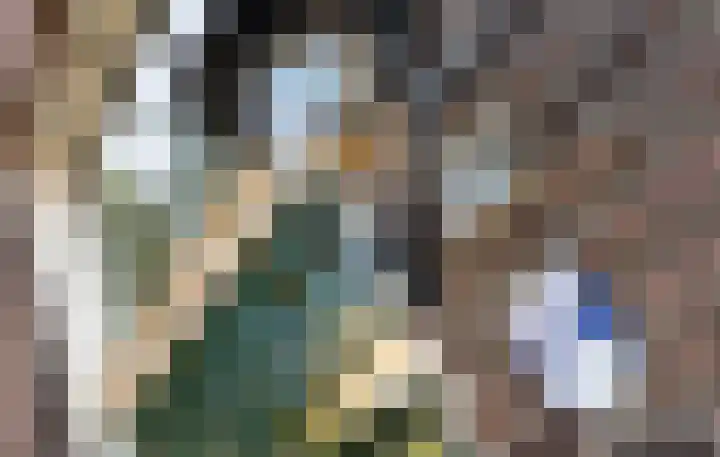 Hogestraat 54 Dieren thumbnail 6