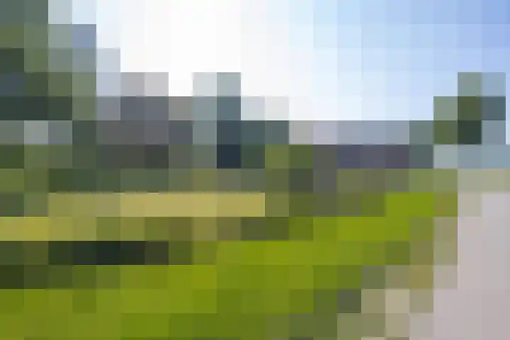 Hogestraat 56 Zoelen thumbnail 10