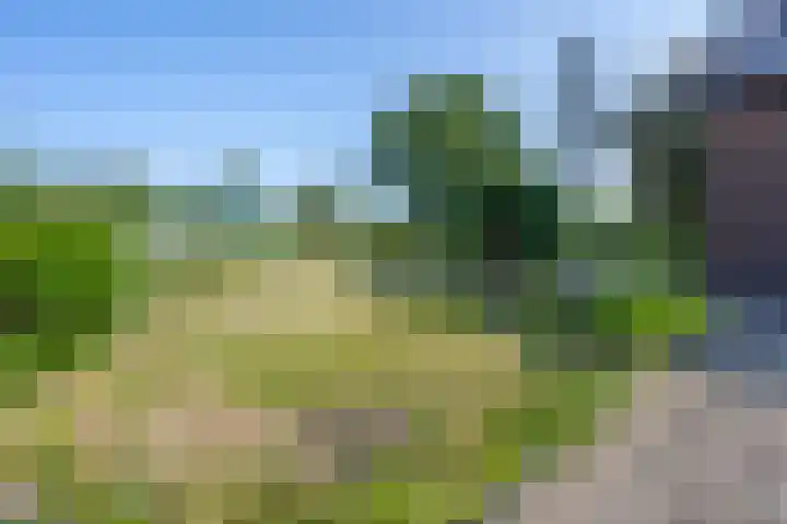 Hogestraat 56 Zoelen thumbnail 13