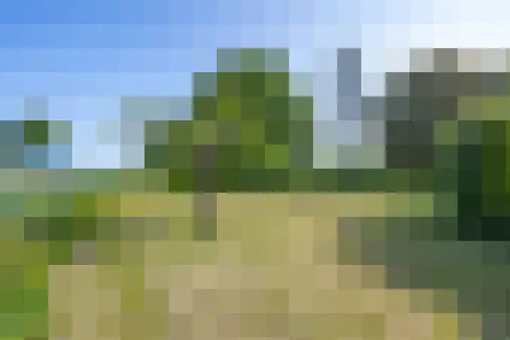 Hogestraat 56 Zoelen thumbnail 15
