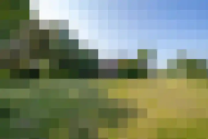 Hogestraat 56 Zoelen thumbnail 16